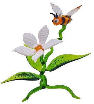 Blüte mit Biene, stehend / Blüte weiß